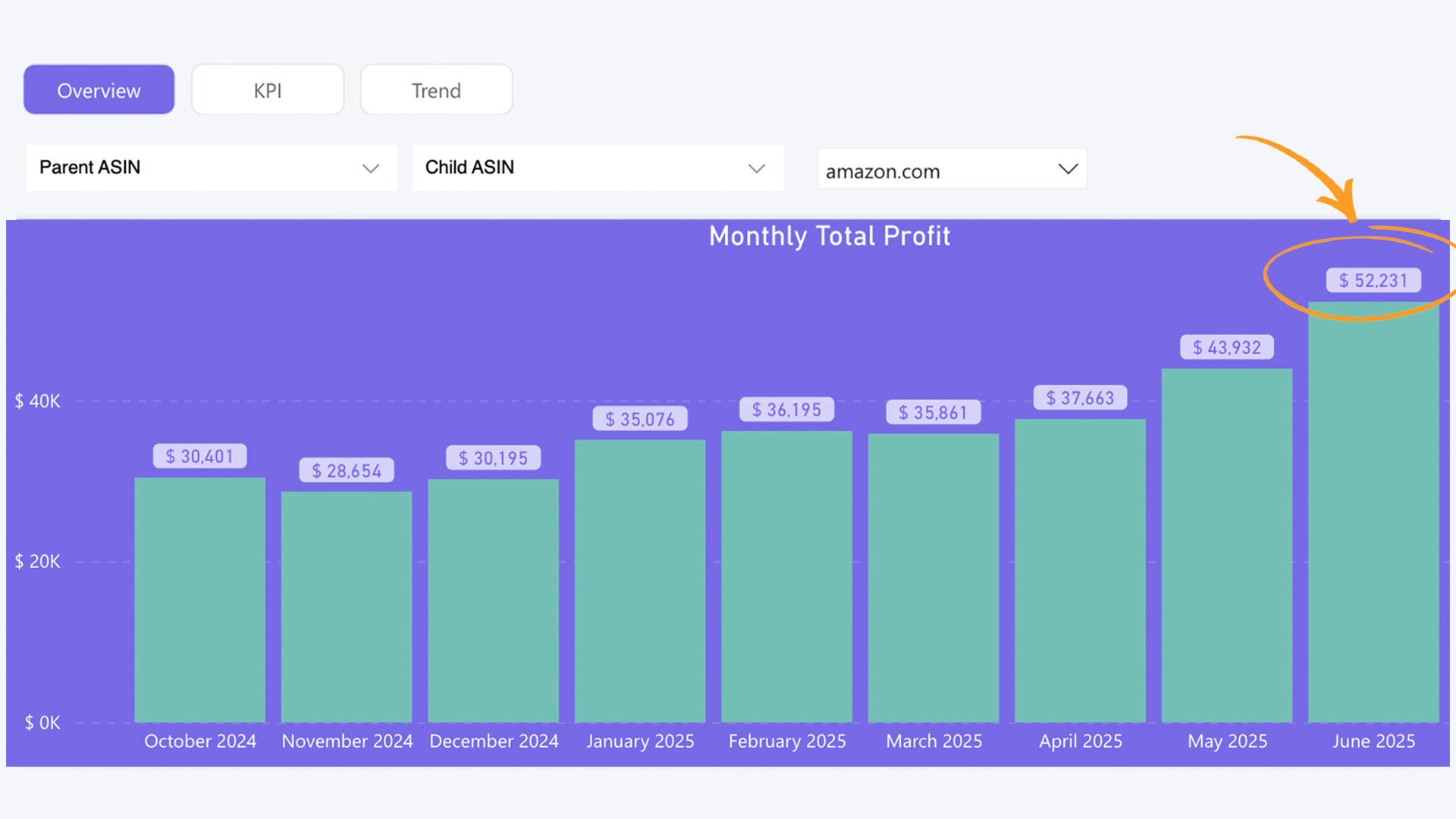 Profit Performance Dashboard